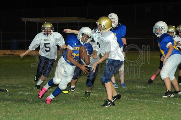 9-18 CAvsHCS 011.JPG - MCKEEGAN D300S #1